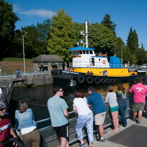 Snoqualmie Falls & Seattle: City Tour