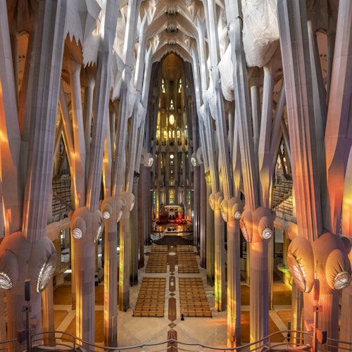 Sagrada Familia: Fast Track & Tower Access