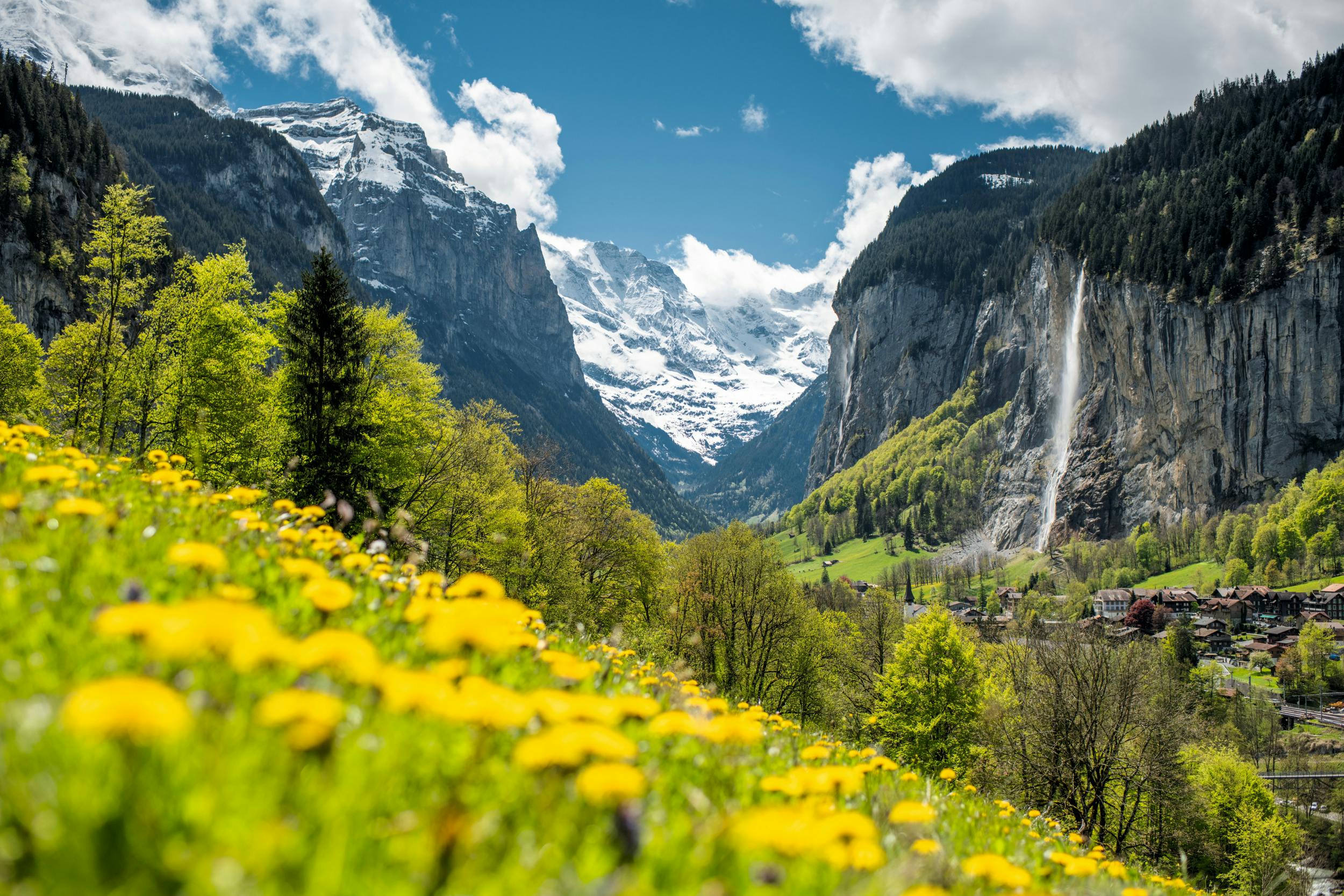 Vibrant meadow with yellow flowers, trees, distant snow-capped mountains, and a waterfall cascading down a rocky cliff.