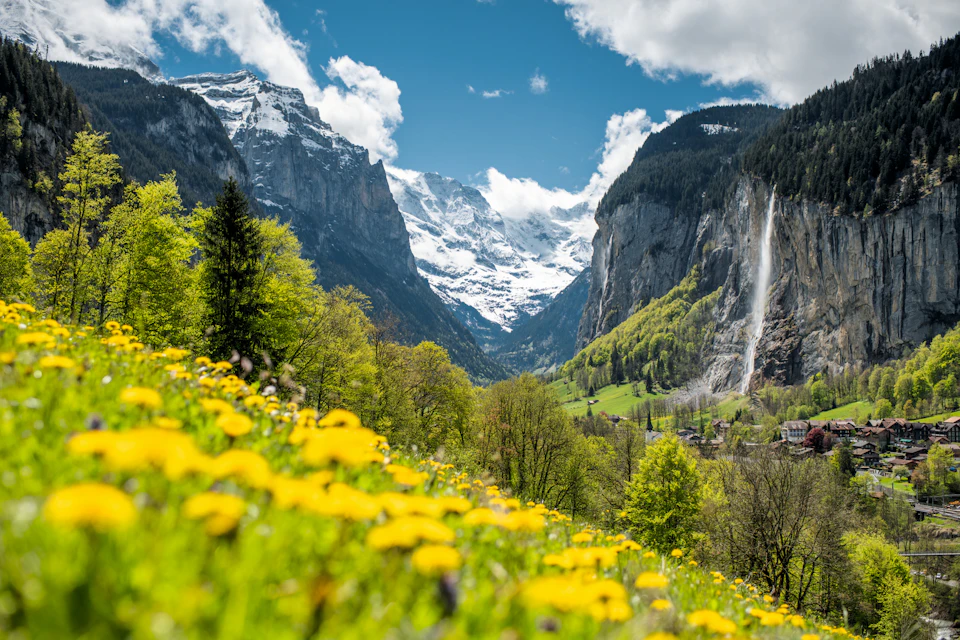 Vibrant meadow with yellow flowers, trees, distant snow-capped mountains, and a waterfall cascading down a rocky cliff.