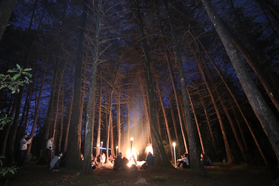 People gathered around a campfire in a forest at night, with tall trees and a dark blue sky in the background.