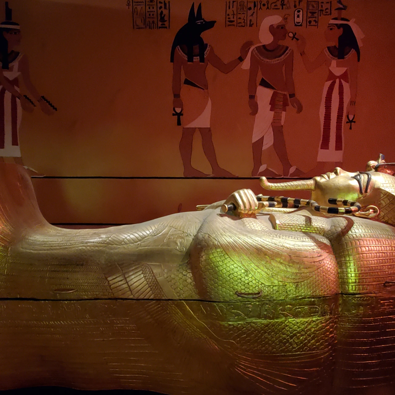 Las Vegas Natural History Museum: Entry Ticket in Las Vegas β Tiqets