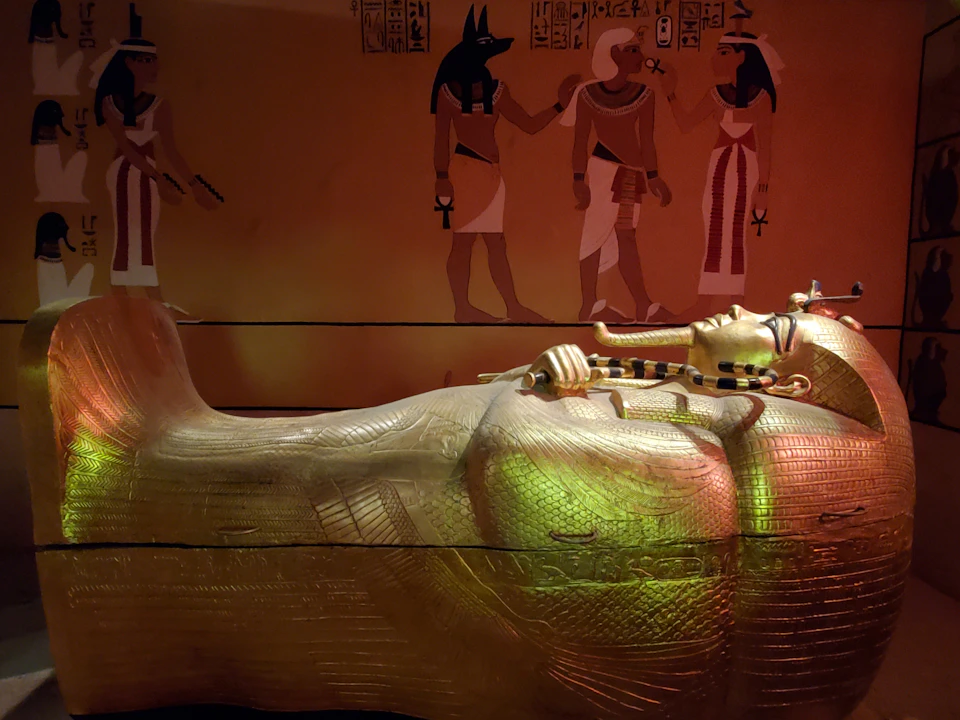 Golden sarcophagus in front of an Egyptian mural with hieroglyphs and figures, including Anubis and other deities.