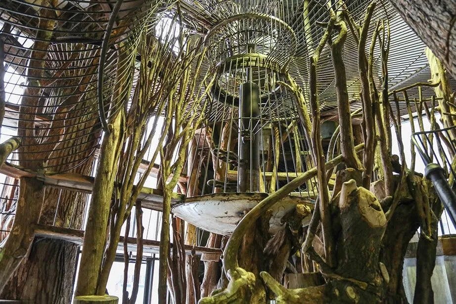 Σύνθετη δομή με μεταλλικούς κλωβούς, κυκλικά πλαίσια και πλεγμένα ξύλινα κλαδιά, δημιουργώντας μια δαιδαλώδη εσωτερική σκηνή.