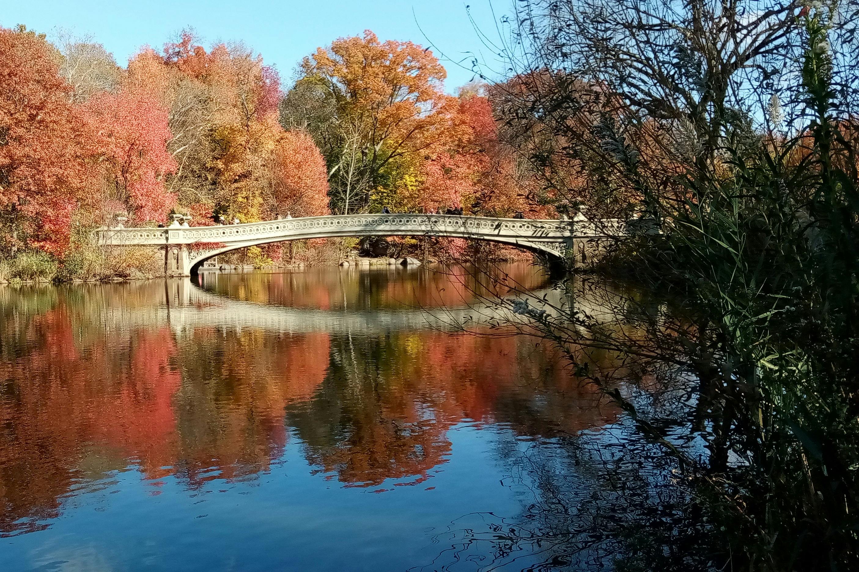 The Bow Bridge in November