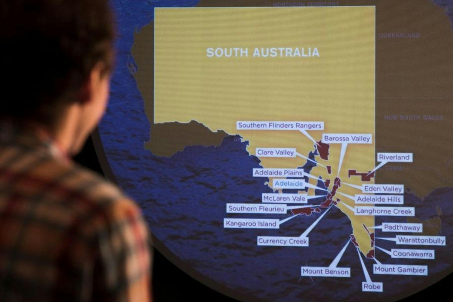 Tour guidato alla scoperta del vino australiano