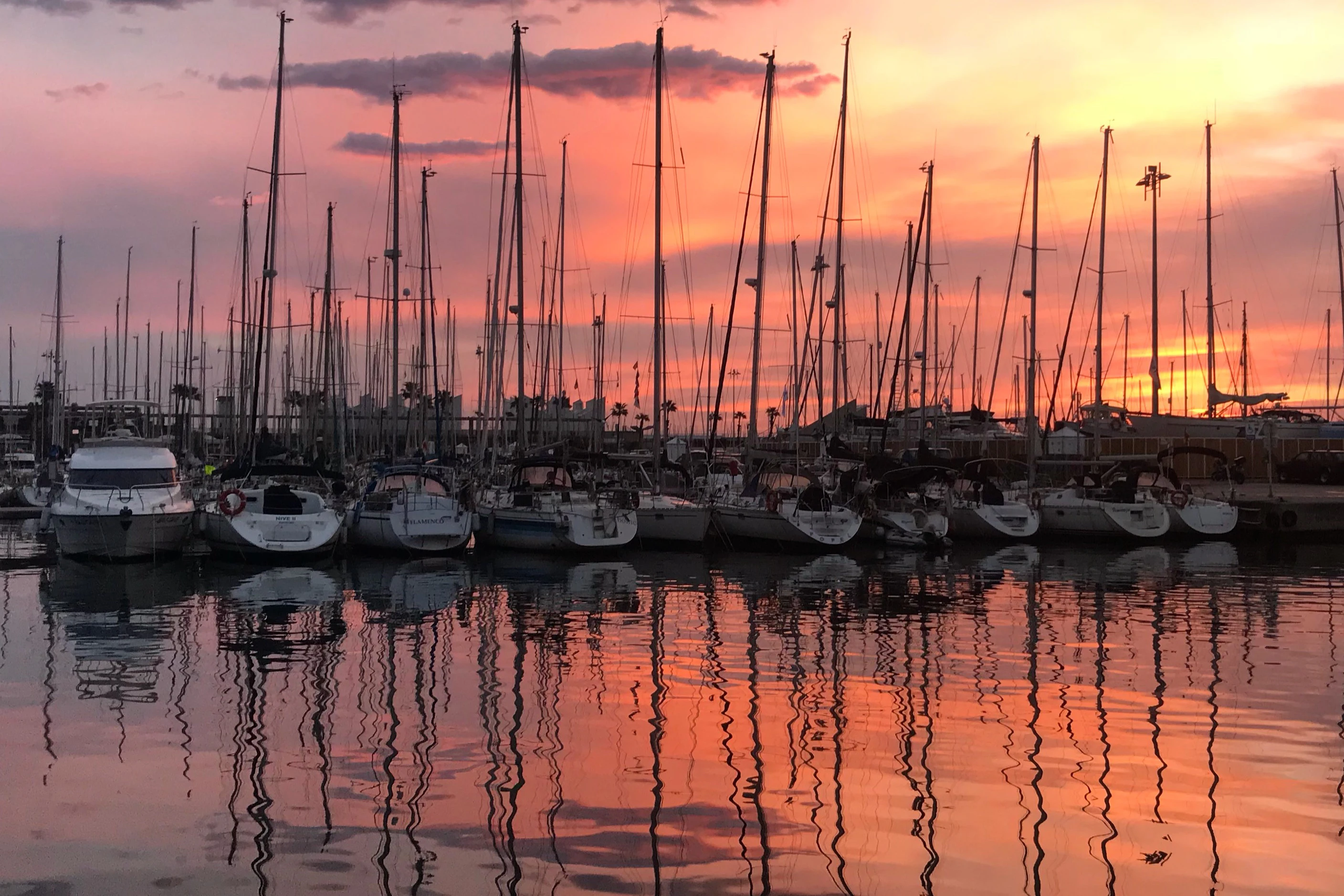 Barcelona: 2-Hr Sunrise Sailing Tour + Drinks & Snacks
