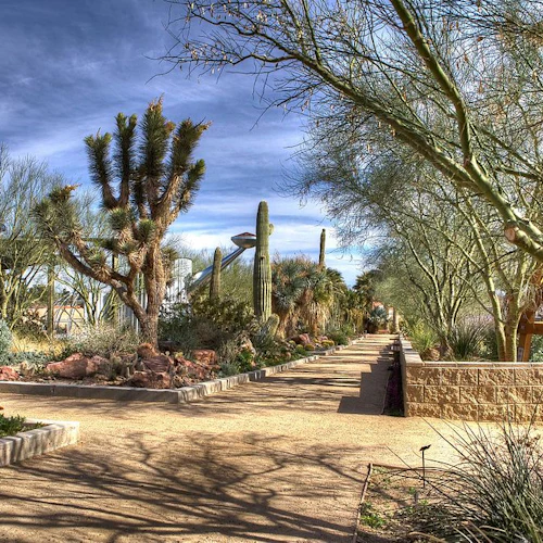 Skip the Line: Springs Preserve in Las Vegas Admission Ticket