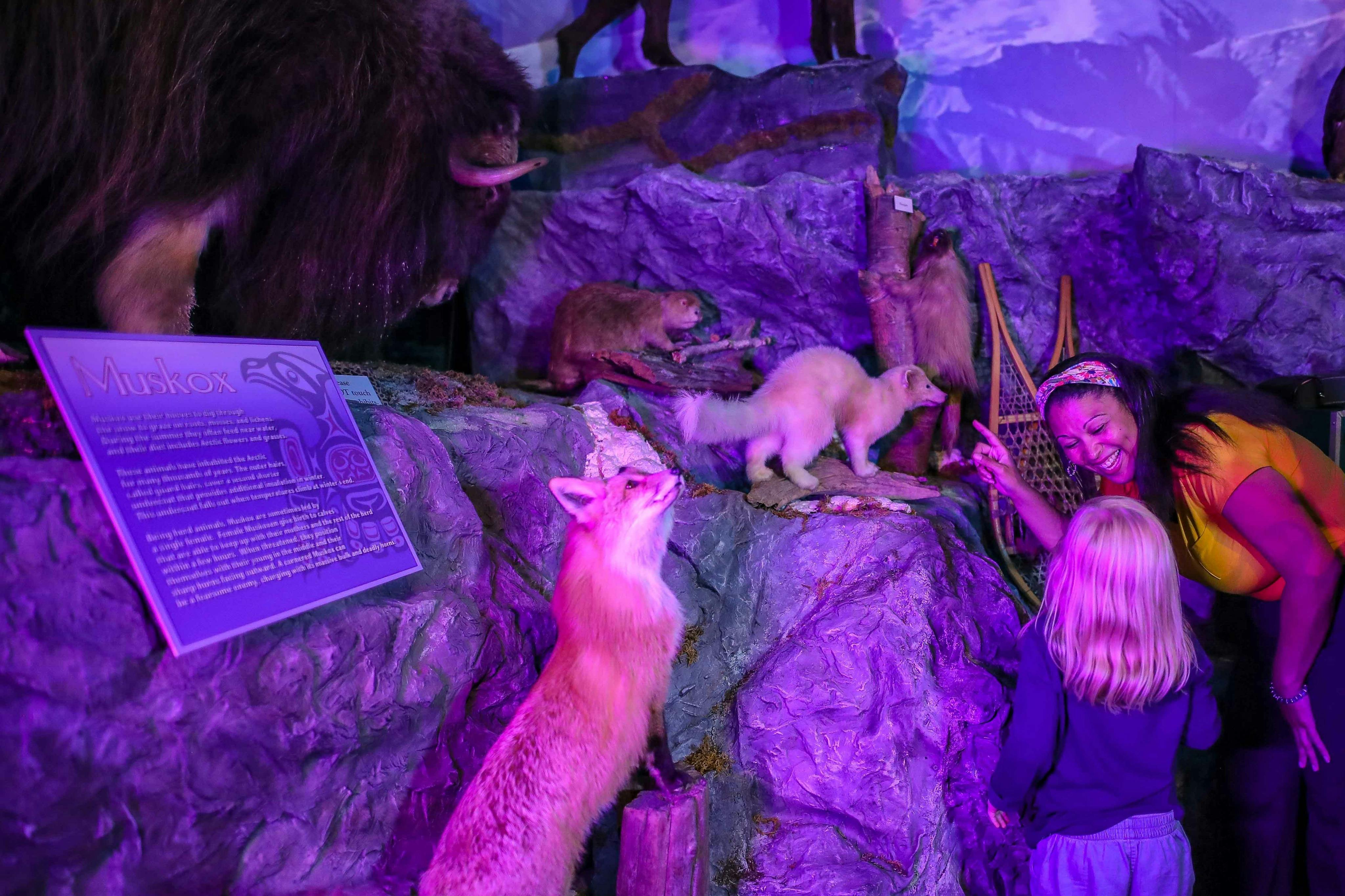 The Buckhorn Museum 