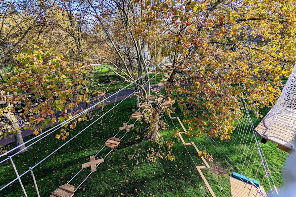 Aerial view of a ropes course setup in a tree with autumn leaves over grassy ground, featuring wooden platforms and rope bridges.