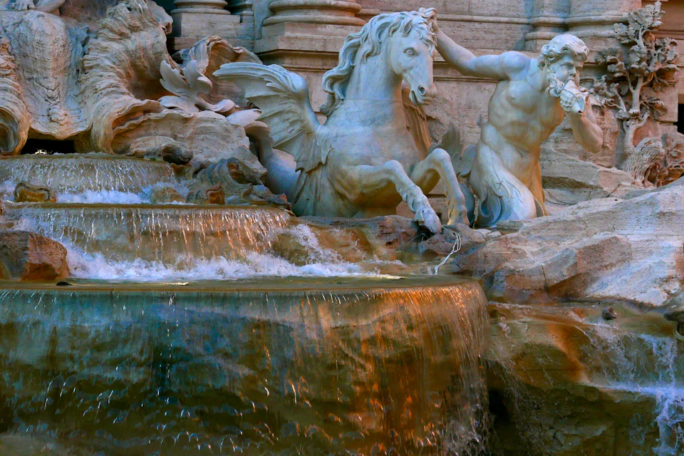 detail, after the sunset