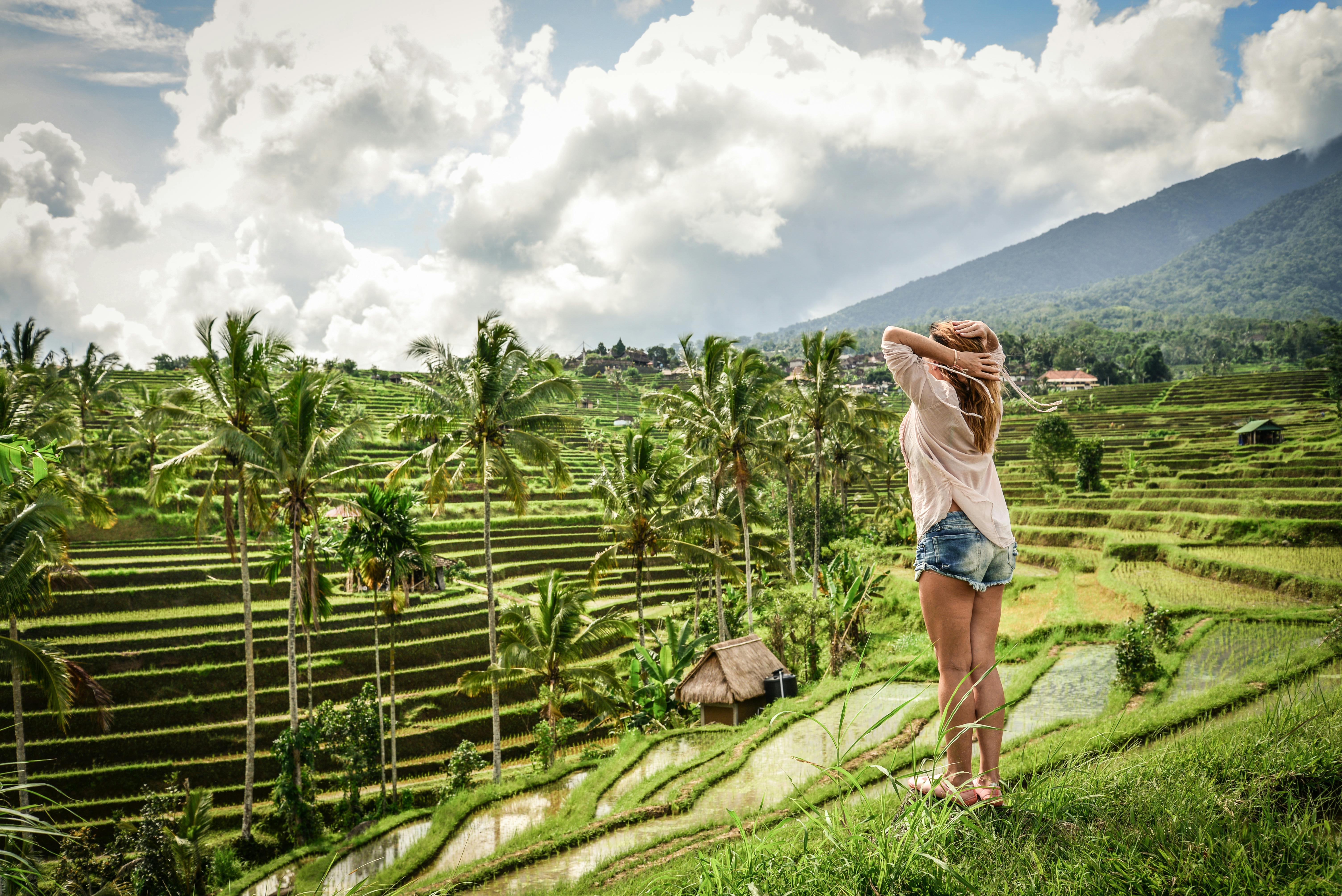 Tickets Tegalalang Rice Terrace - Ubud | Tiqets.com