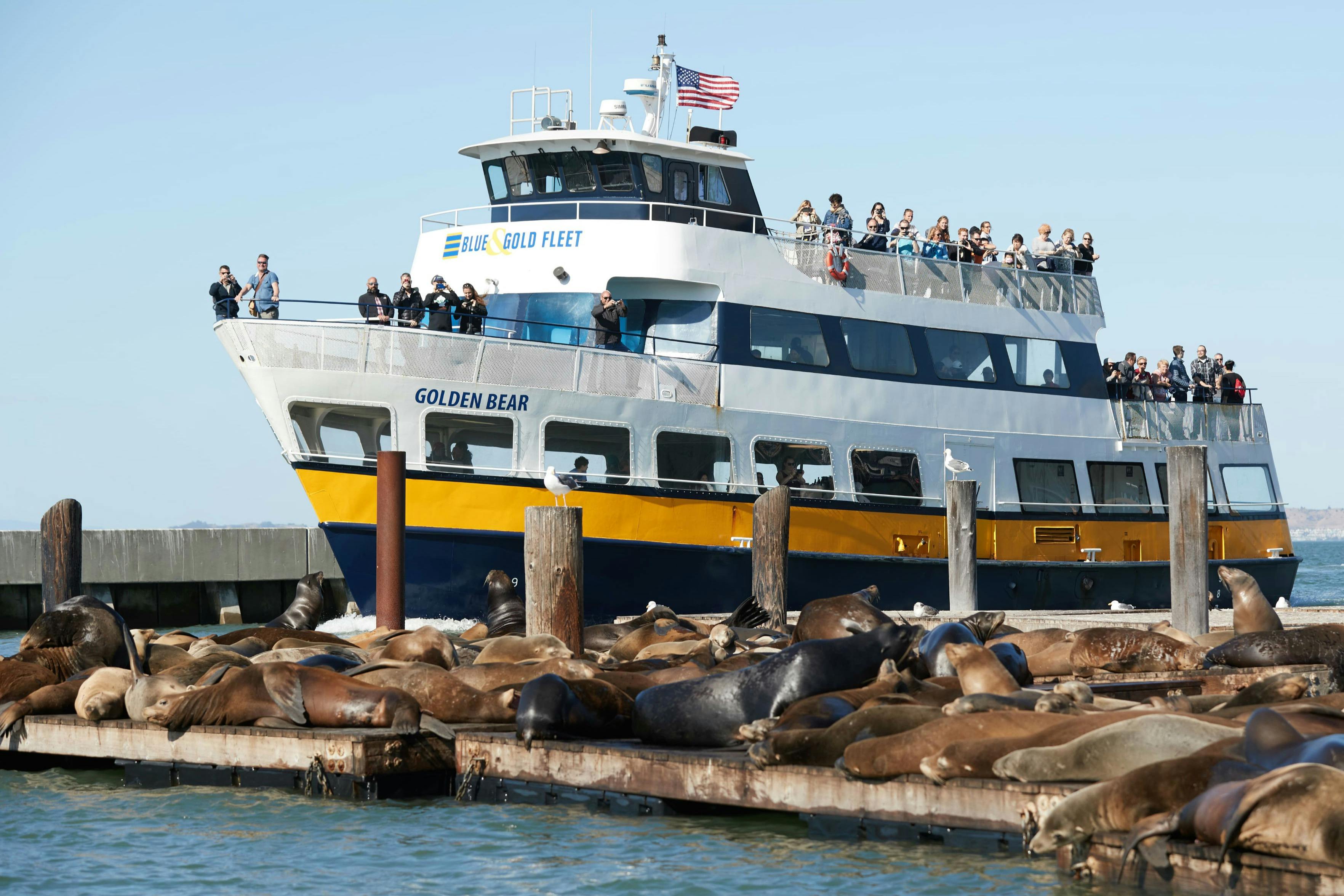 Læs anmeldelser af Sea Lions at Pier 39