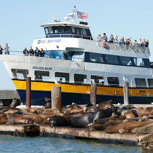 San Francisco: Bay Cruise - Photo 9