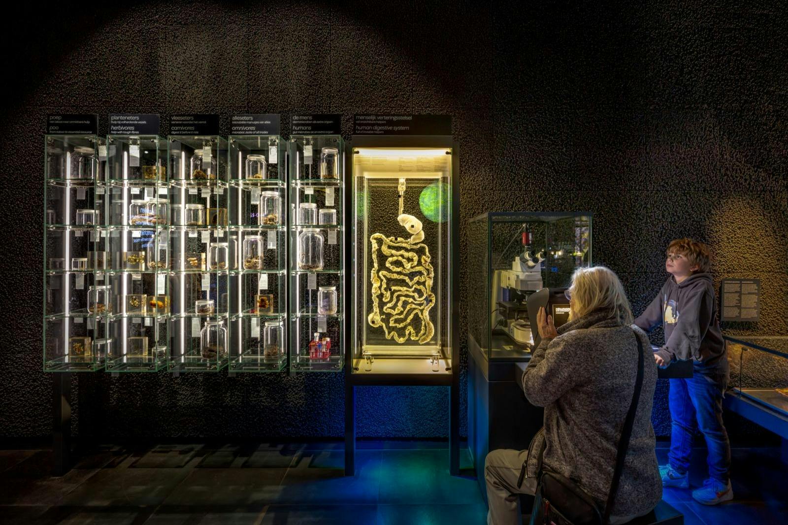 Ένα μουσειακό έκθεμα με διατηρημένα δείγματα, μια οθόνη μικροσκοπίου και δύο άτομα που παρατηρούν τις οθόνες σε ένα αμυδρά φωτισμένο δωμάτιο.