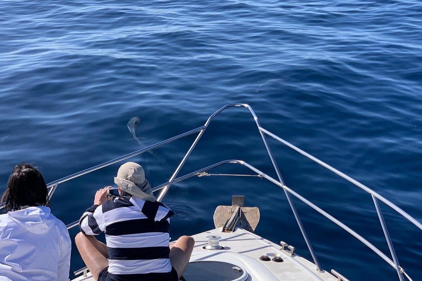 Delfiner, båtturer, Keeper Uno Kanarieöarna