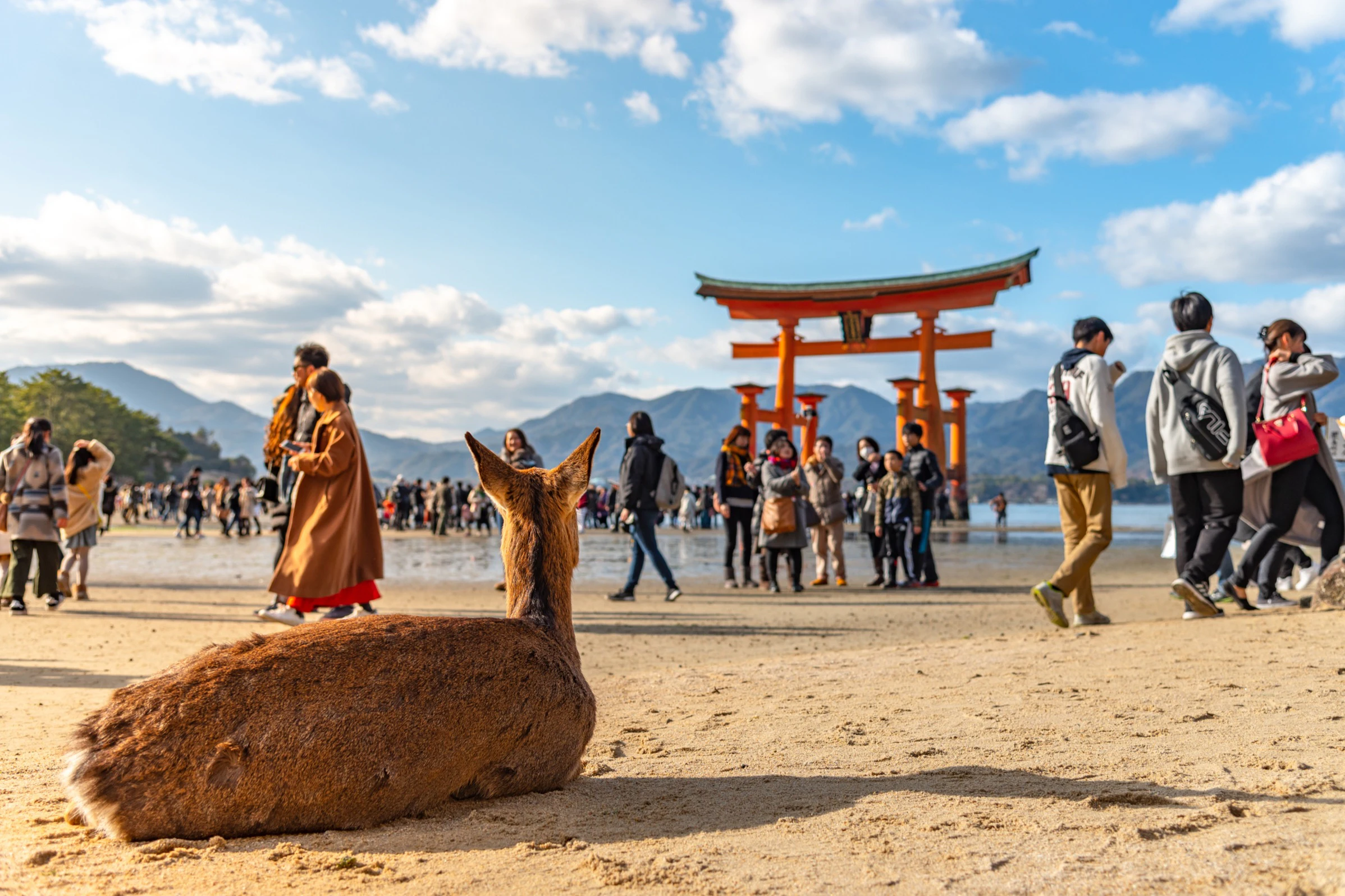 Hiroshima & Miyajima: Guided Tour + Roundtrip Ferry + Optional Bullet Train