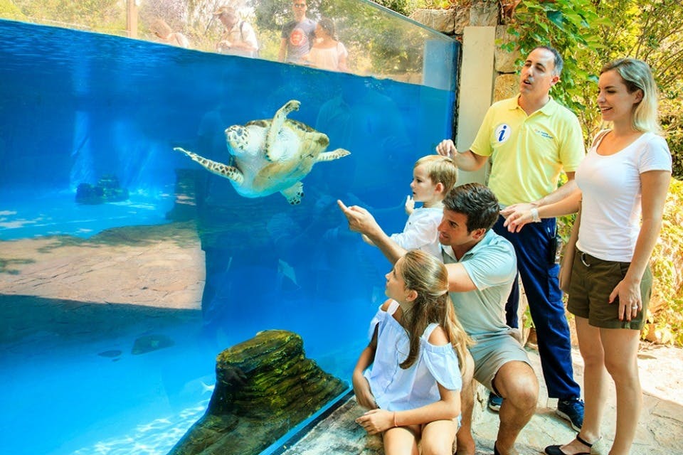 Εμπειρογνώμονες του Ωκεανού