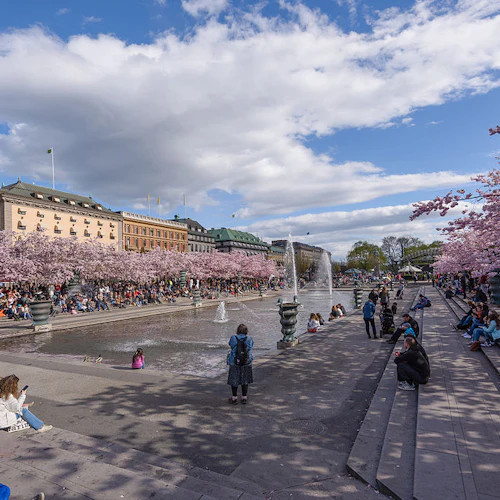 Människor kopplar av runt en fontän på ett torg kantat av blommande körsbärsblommor under en delvis molnig himmel.
