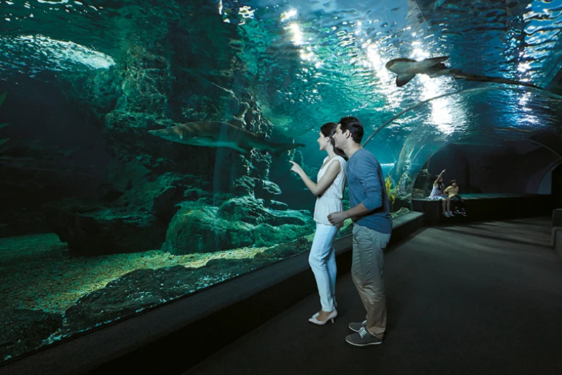 SEA LIFE Bangkok Ocean World y Madame Tussauds