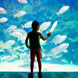 Oceanographic Museum of Monaco: Entry Ticket 2