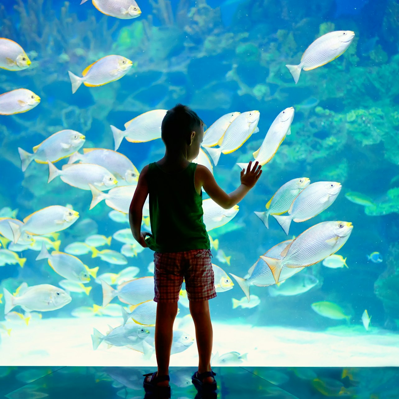 Oceanographic Museum of Monaco