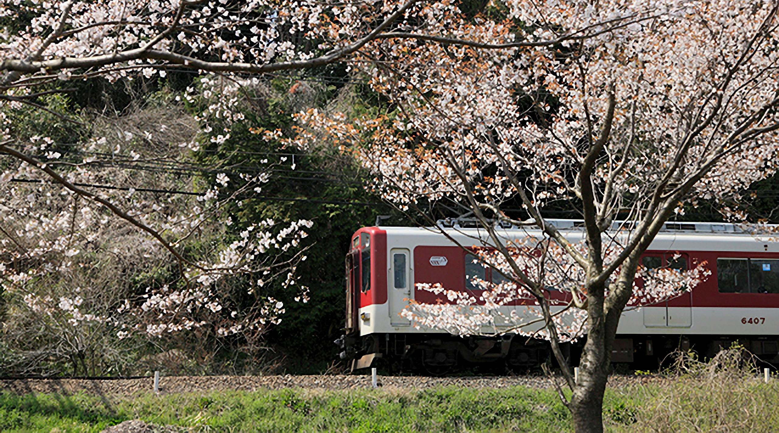 Kintetsu Rail Pass: 1-Day Digital Pass (Osaka, Nara, Kyoto) - Photo 5