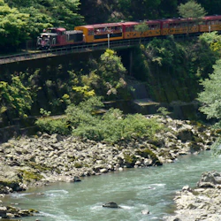 Hozugawa Private River Boat Ride 5