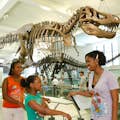 familie von einem skelettierten dinossaurier im amerikanischen museum für naturgeschichte in new york city
