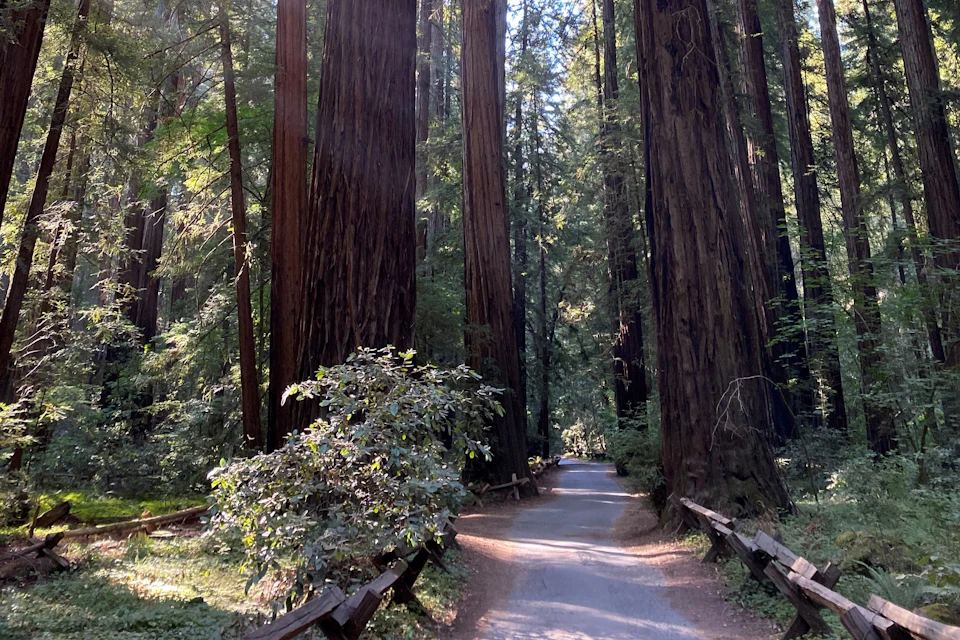 Full Day Wine & Woods Tour