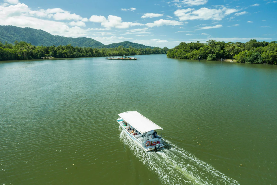 Daintree River Cruise spotting crocodiles in the wild