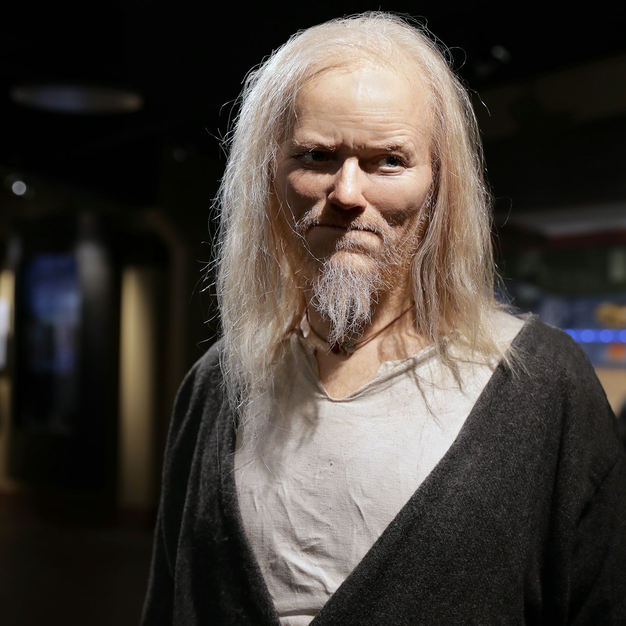 Museo Vikingo - Alojamientos en Estocolmo