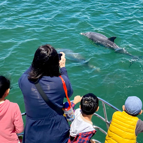 Mandurah: Dolphin Cruise and Views - Photo 9