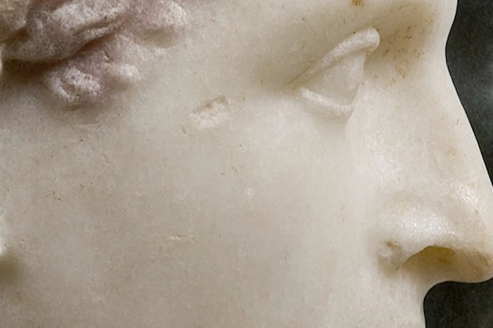 Close-up of two sculptures, a white marble profile and a darker stone face partially visible in the background.