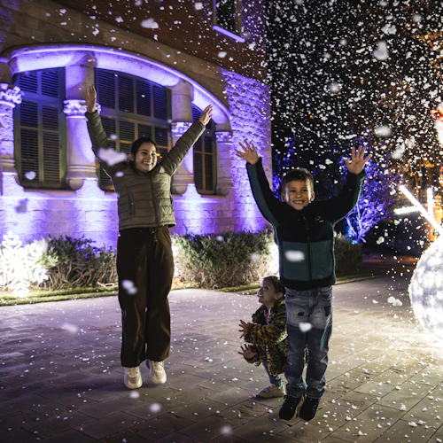 Els Llums de Sant Pau: Christmas Garden - Photo 3