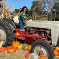 Child poses on a tractor surrounded by pumpkins.