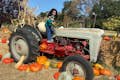 Child poses on a tractor surrounded by pumpkins.