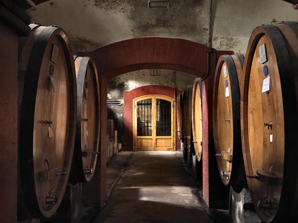 Ένα αμυδρά φωτισμένο κελάρι κρασιών με μεγάλα ξύλινα βαρέλια που καλύπτουν και τις δύο πλευρές και μια ξύλινη πόρτα στο τέλος του διαδρόμου.