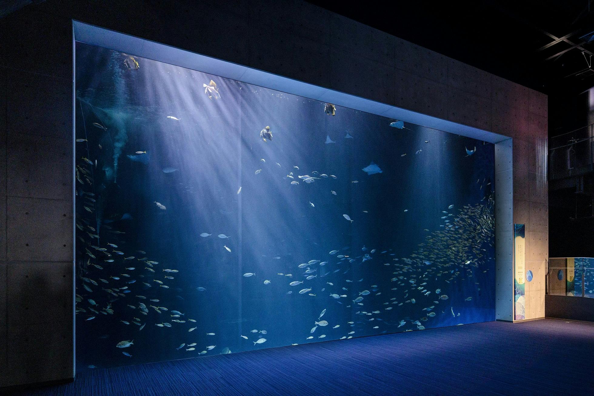 Shikoku Aquarium: Admission Ticket - Photo 8