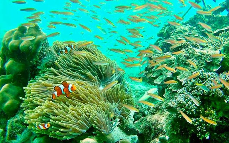 Tour de barbacoa al atardecer por las islas Krabi con plancton bioluminiscente en barco de cola larga - Alojamientos en Krabi