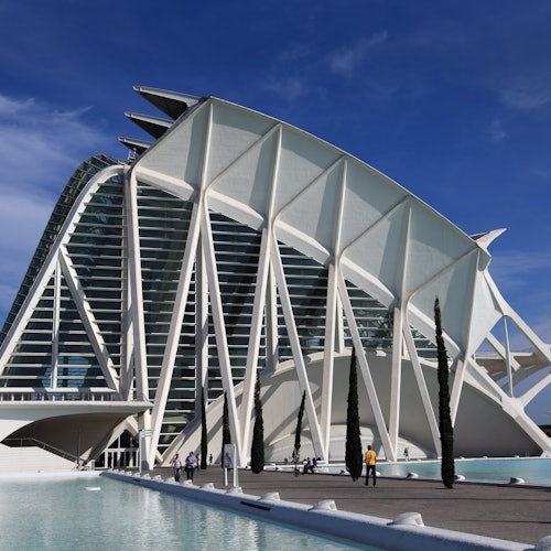 Oceanogràfic y Museo de las Ciencias de Valencia: Sin colas