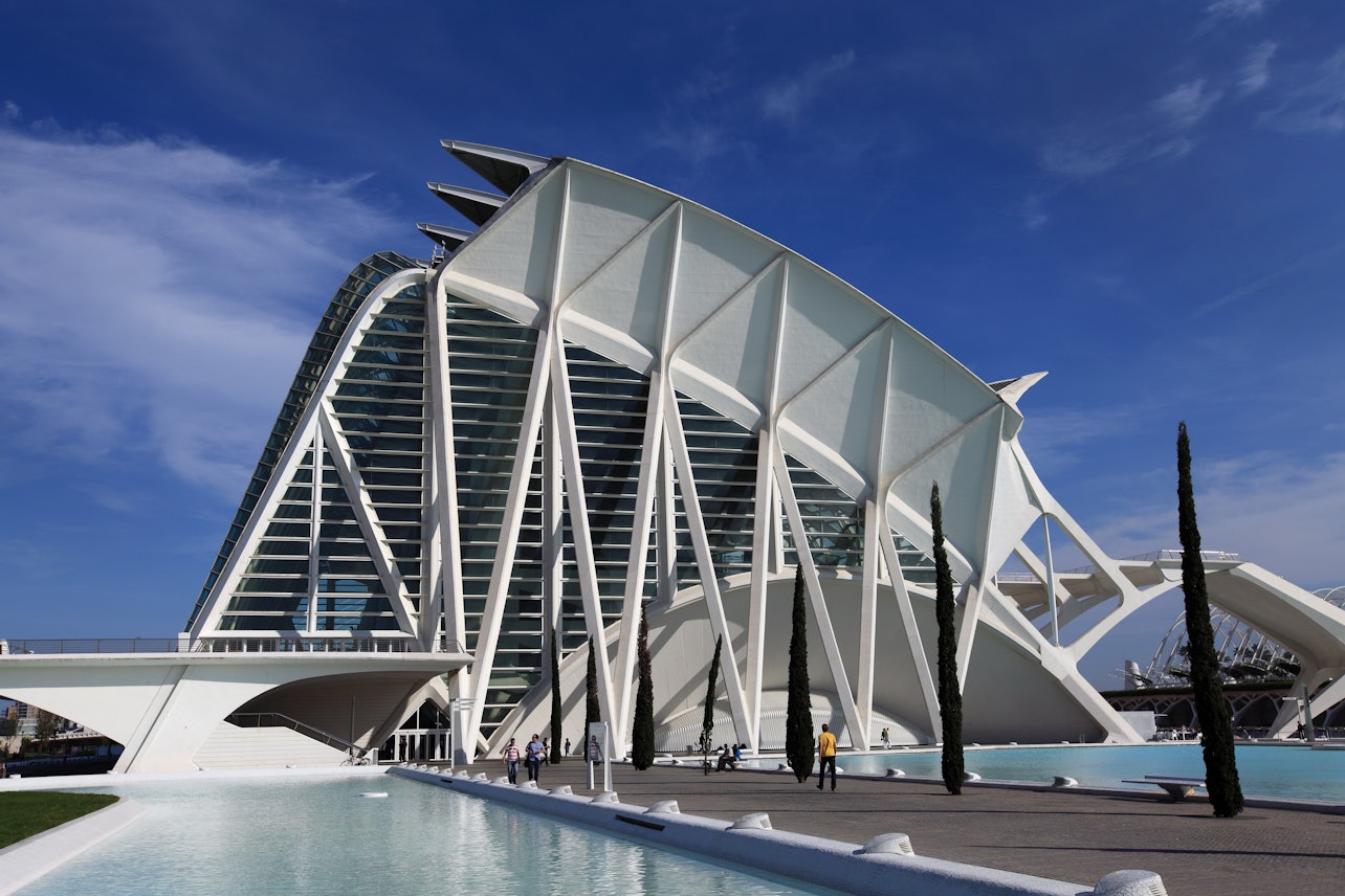 Oceanogràfic y Museo de las Ciencias de Valencia: Sin colas - Alojamientos en Valencia