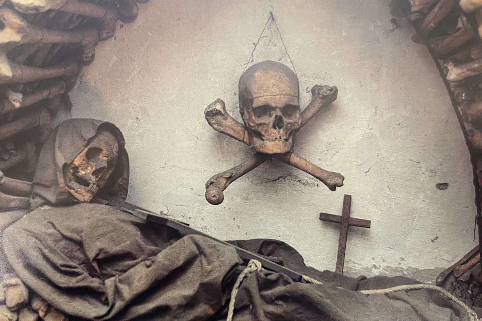 bones