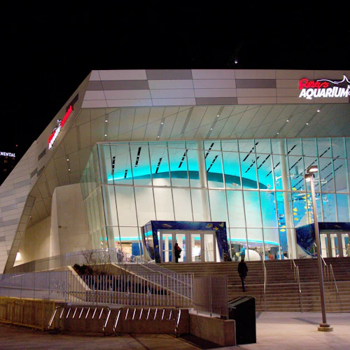 Ripley's Aquarium of Canada: Sharks After Dark (Tubarões depois do anoitecer) - Photo 7