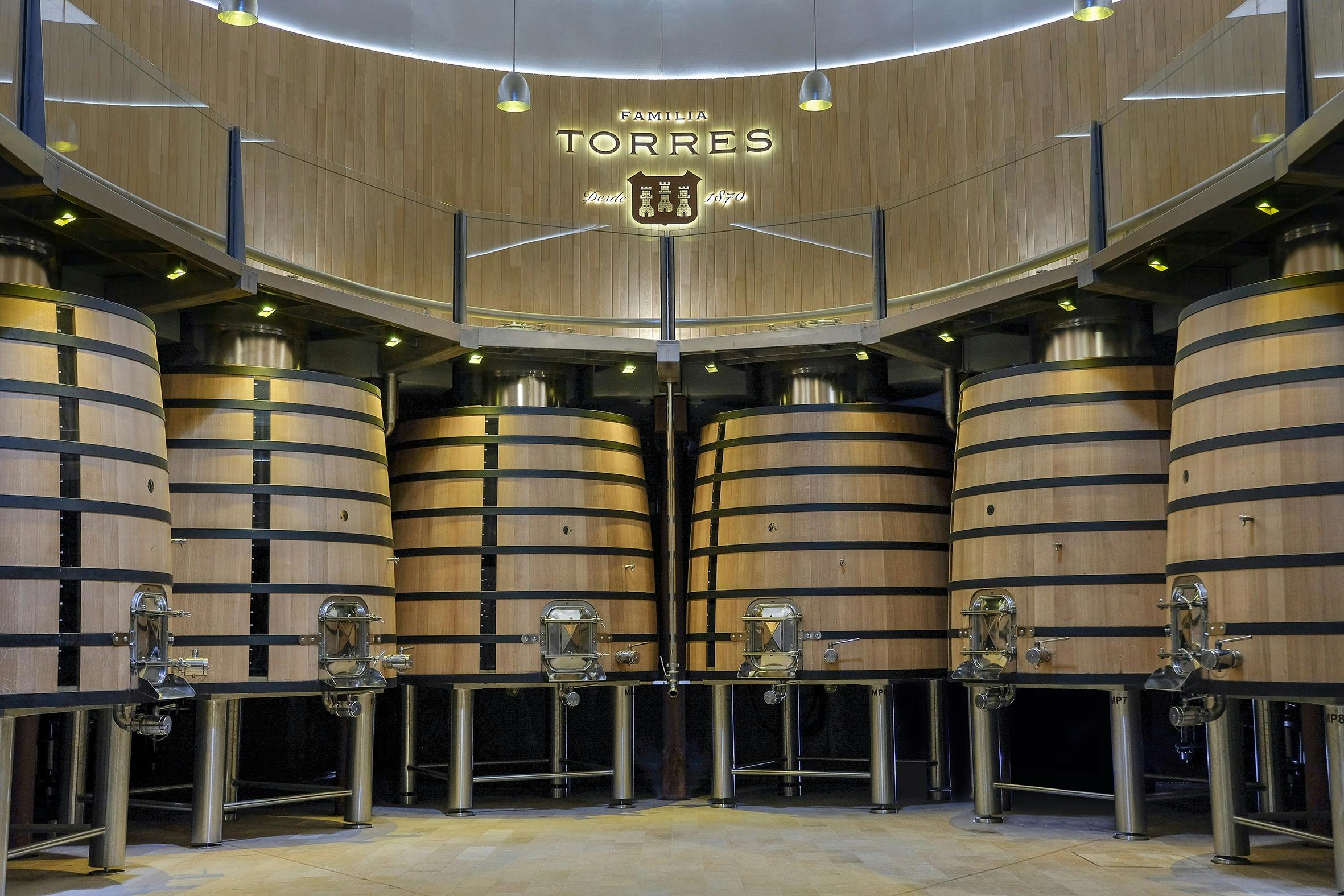 Torres Winery: Tour guidato + Abbinamento vino e tapas — 3
