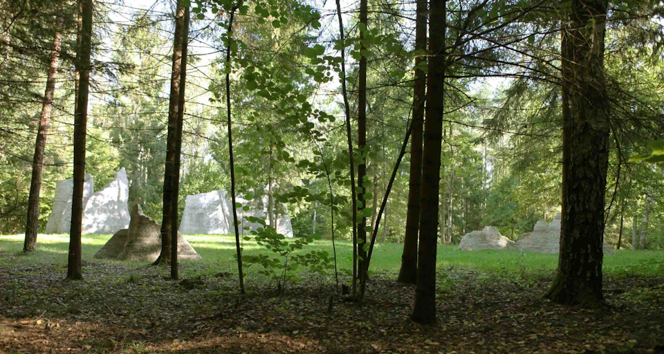 A forest scene with trees, patches of sunlight filtering through the foliage, and large rocks or structures in the background.