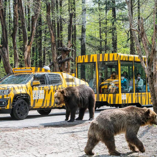 Everland Korea: All-Day Pass for September-October