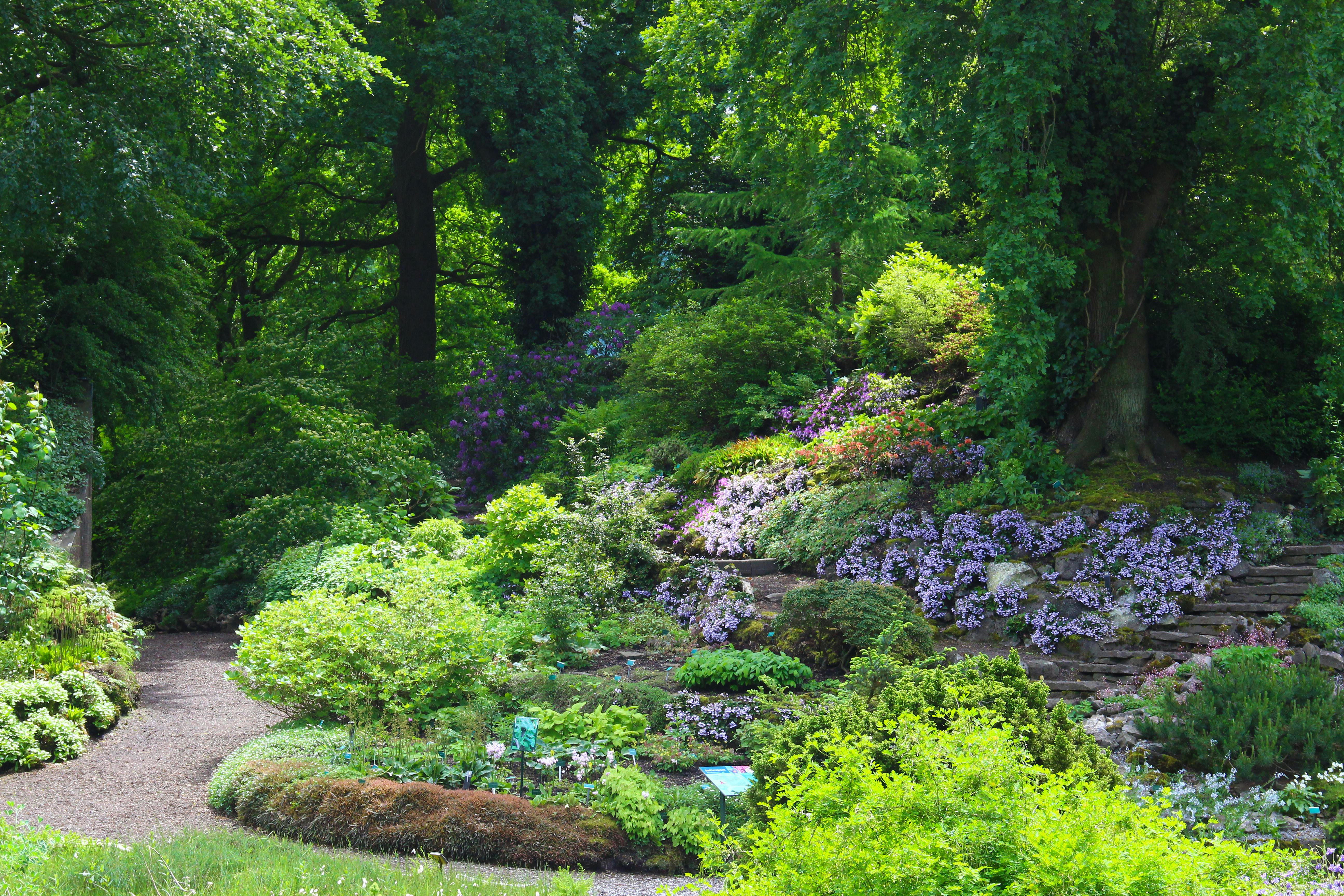 Botanische Tuinen Universiteit Utrecht | Tiqets