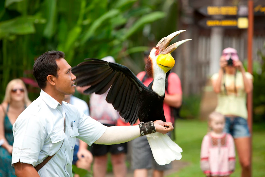Bali Bird Park Tickets