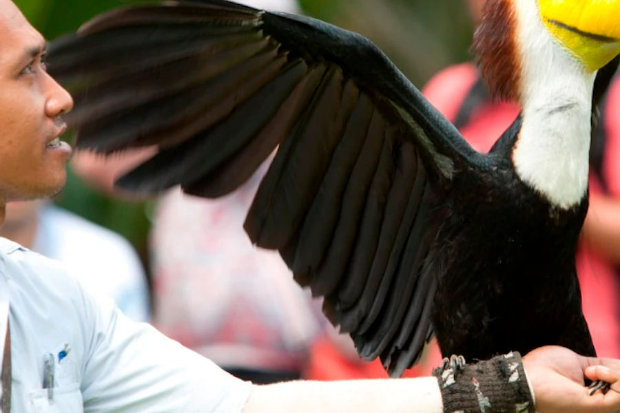 Bali Bird Park Tickets